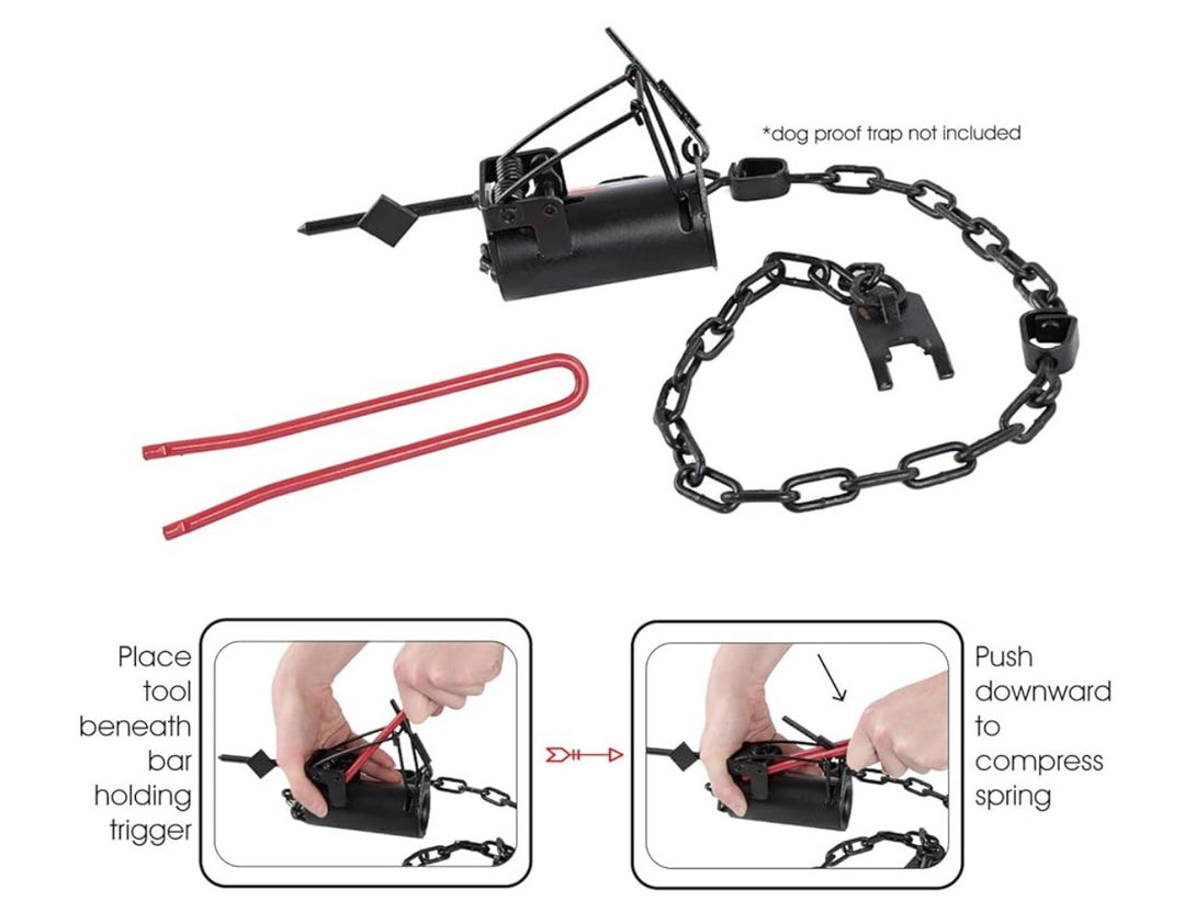 DP RACCOON TRAP SET TOOL
